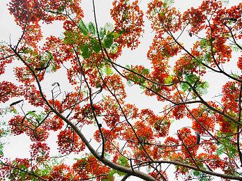 Meta新游戏画风低劣因群嘲 扎克伯格称将尽快优化